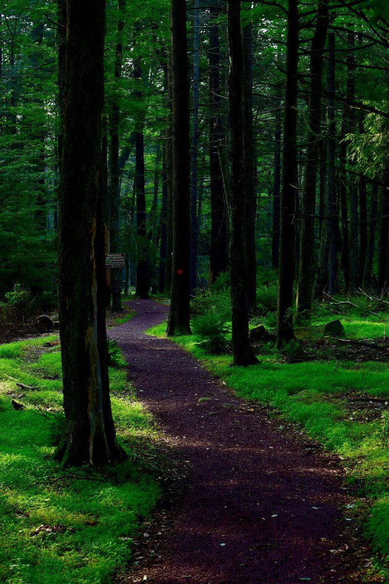 Hiking